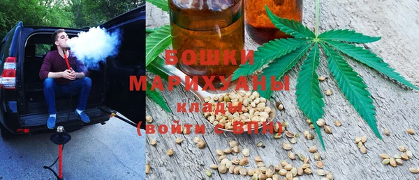 индика Верхний Тагил