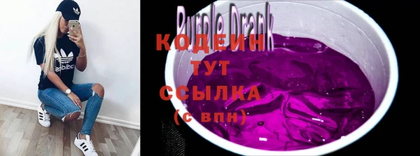 индика Верхний Тагил
