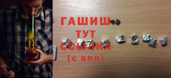 индика Володарск