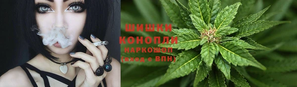 индика Володарск