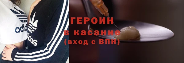 индика Володарск