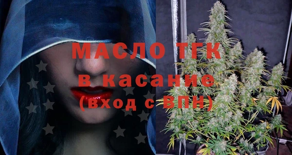 индика Верхний Тагил