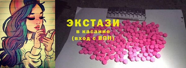 индика Верхний Тагил