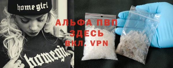 индика Верхний Тагил