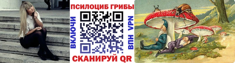 кракен зеркало  Вилюйск  Псилоцибиновые грибы Magic Shrooms 